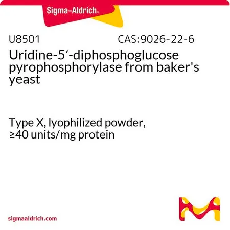 Sigma-Aldrich 尿苷-5′-二磷酸葡萄糖焦磷酸化酶 来源于面包酵母,X型,冻干粉,≥40单位/mg蛋白