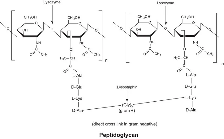 默克Supelco Lysozyme 来源于鸡蛋白,VETRANAL®,分析标准品