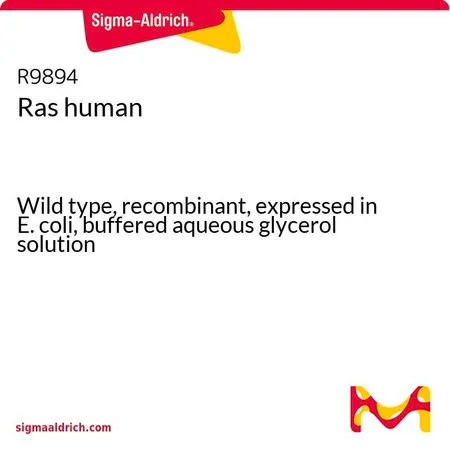 Sigma-Aldrich Ras human,野生型,重组,在大肠杆菌中表达,甘油缓冲水溶液