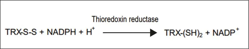 Sigma-Aldrich 硫氧还蛋白还原酶 来源于大肠杆菌，硫酸铵悬浮液，>25单位/mg蛋白质（Bradford）