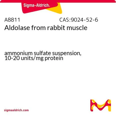 Sigma-Aldrich 醛缩酶 来源于兔肌肉,硫酸铵混悬液,10-20单位/mg蛋白质
