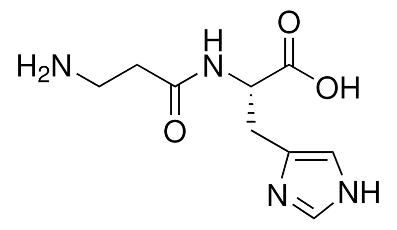 默克Supelco L-肌肽,分析标准