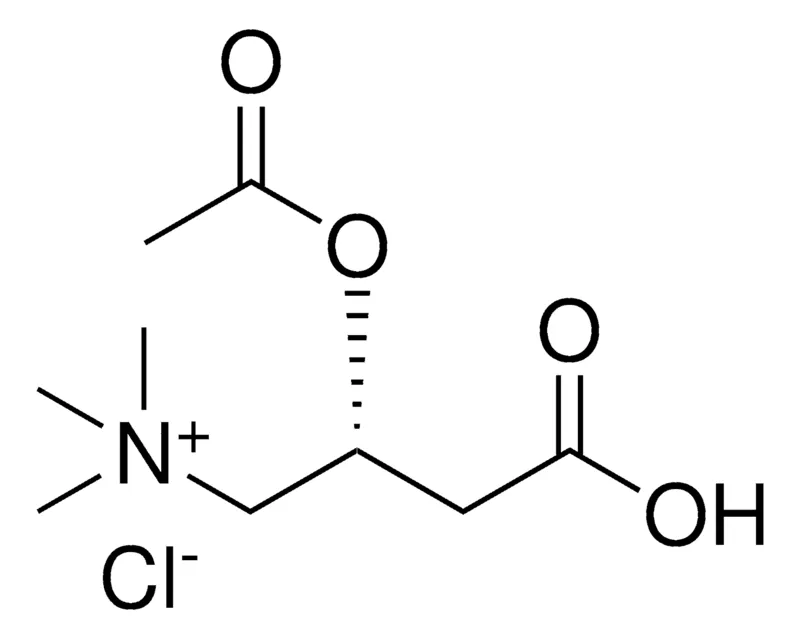 默克Supelco O-乙酰基-L-肉碱盐酸盐 盐酸盐,分析标准