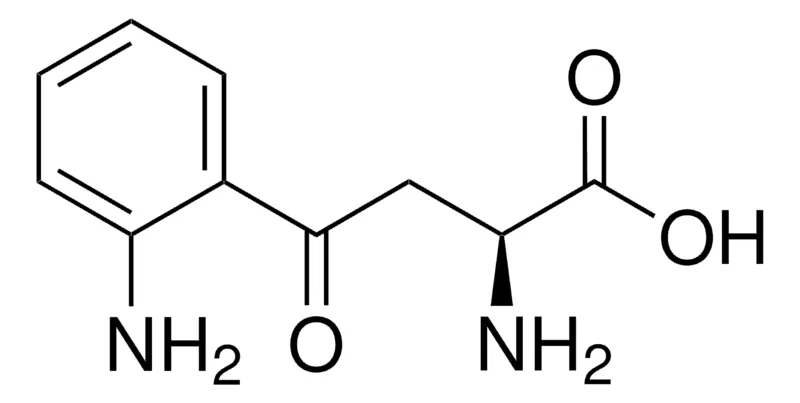 默克Supelco L-犬尿氨酸,分析标准