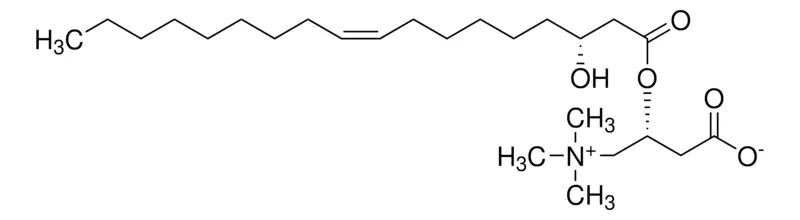 默克Supelco [（3R)）-3-羟基-顺式-十八烷基-9-烯酰基]-L肉碱，分析标准
