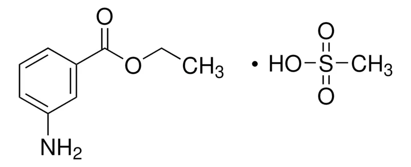 默克Supelco 3-氨基苯甲酸乙酯 甲磺酸盐,分析标准
