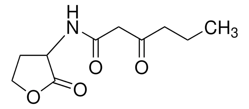 默克Supelco N-(β-酮己酸)- DL -高丝氨酸内酯,分析标准