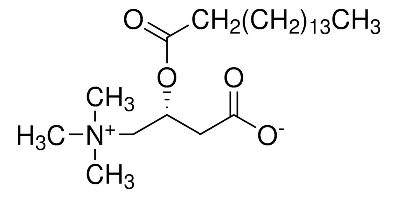 默克Supelco 棕榈酰-L-左旋肉碱,分析标准