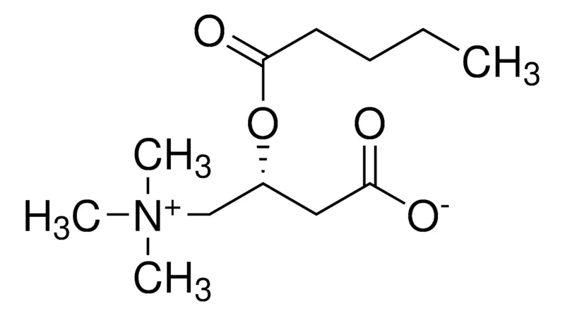 默克Supelco 戊酰左旋肉碱,分析标准