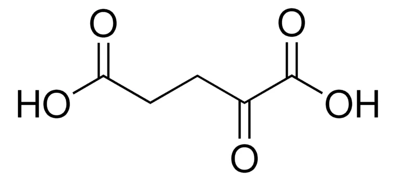 默克Supelco α-酮戊二酸，分析标准