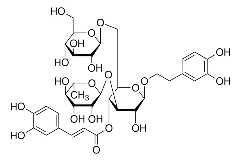 默克Supelco Echinacoside,分析标准