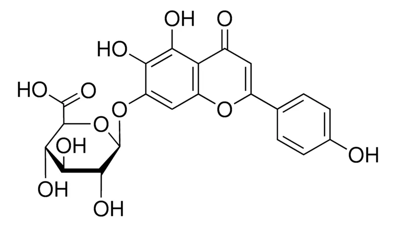 默克Supelco 野黄芩苷,分析标准