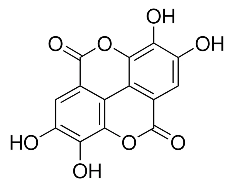 默克Supelco 鞣花酸，分析标准