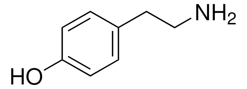 默克Supelco 酪胺,分析标准