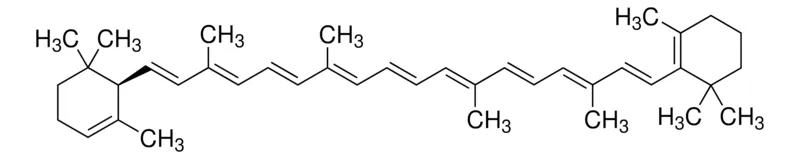 默克Supelco α-胡萝卜素，分析标准