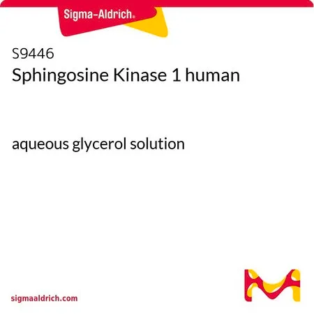 Sigma-Aldrich Sphingosine Kinase 1 人,甘油水溶液