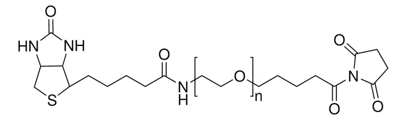 Sigma-Aldrich Poly(ethylene glycol) (N-hydroxysuccinimide 5-pentanoate) ether 2-(biotinylamino)ethane，平均Mn 3,800，交联剂胺反应性，NHS酯，生物素