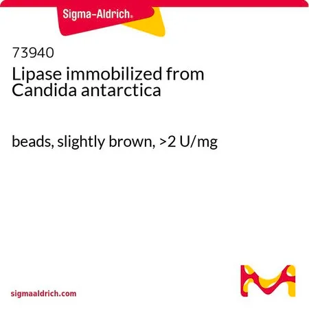 Sigma-Aldrich 固定化脂肪酶 来源于南极假丝酵母,微珠,浅棕色,>2 U/mg