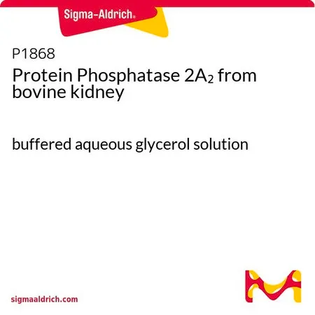 Sigma-Aldrich Protein Phosphatase 2A2 from bovine kidney,缓冲水性甘油溶液