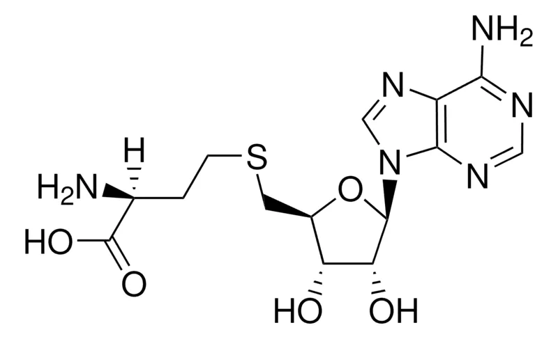 默克Supelco S-(5′-腺苷)-L-高半胱氨酸，认证参考材料