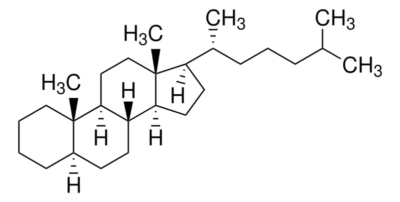 默克Supelco 5α-胆甾烷,经认证的参比物质,10 mg/mL氯仿溶液