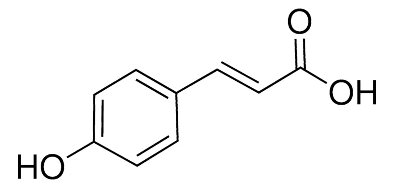 默克Supelco p -香豆酸,有证参比物质,TraceCERT®,生产商:瑞士Sigma-Aldrich Production GmbH