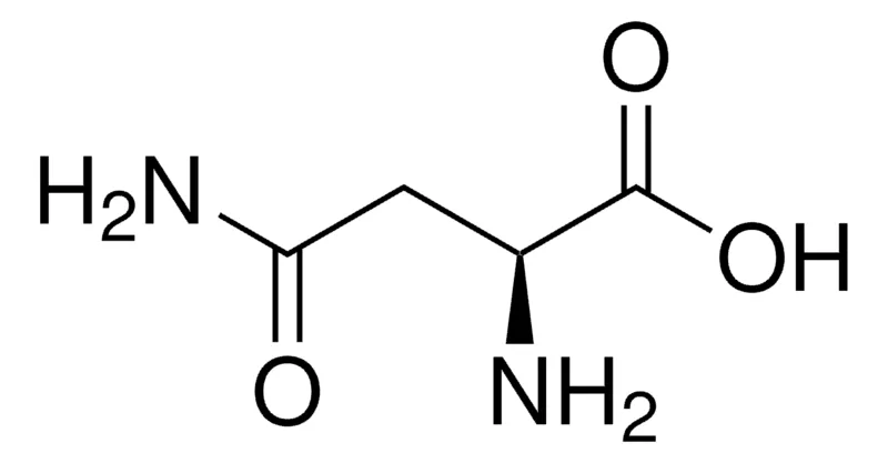 默克Supelco L-天冬酰胺,有证参比物质,TraceCERT®,生产商:瑞士Sigma-Aldrich Production GmbH
