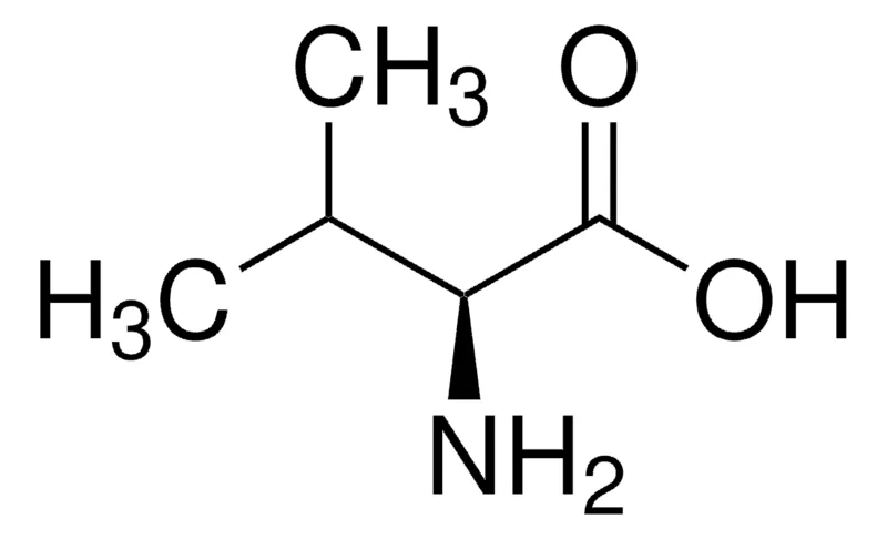 默克Supelco L -缬氨酸,有证参比物质,TraceCERT®,生产商:瑞士Sigma-Aldrich Production GmbH