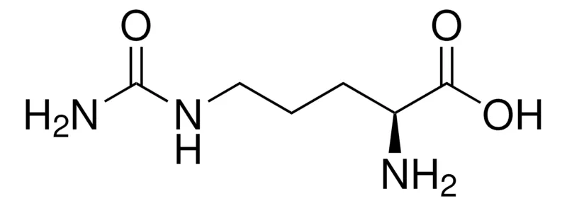 默克Supelco L-瓜氨酸，有证参比物质，TraceCERT®，生产商：瑞士Sigma-Aldrich Production GmbH