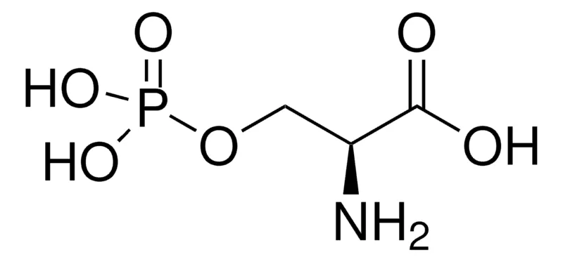 默克Supelco O-磷酸-L-丝氨酸,有证参比物质,TraceCERT®,生产商:瑞士Sigma-Aldrich Production GmbH