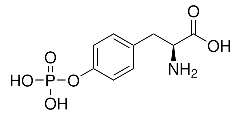 默克Supelco O-磷酸- L -酪氨酸，有证参比物质，TraceCERT®，生产商：瑞士Sigma-Aldrich Production GmbH