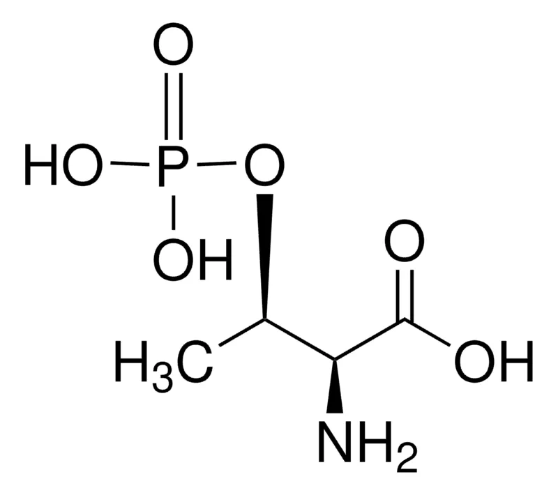 默克Supelco O-磷酸- L -苏氨酸,有证参比物质,TraceCERT®,生产商:瑞士Sigma-Aldrich Production GmbH