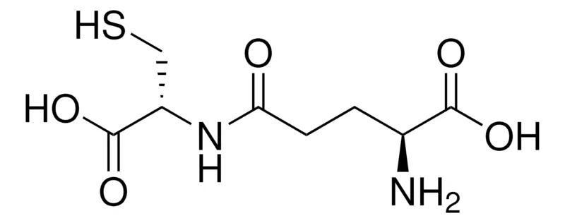 默克Supelco γ-Glu-Cys,有证标准物质,药用二级标准品