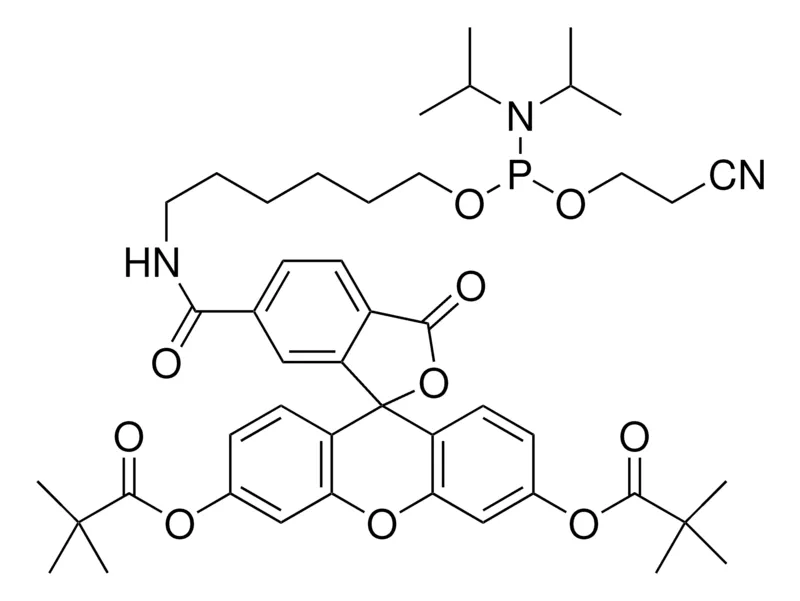 Sigma-Aldrich 6-荧光素亚磷酰胺，为ABI配置
