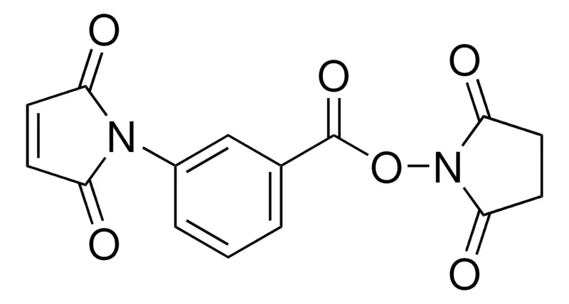 Sigma-Aldrich 3-马来酰亚胺基苯甲酸 N -羟基琥珀酰亚胺酯，结晶
