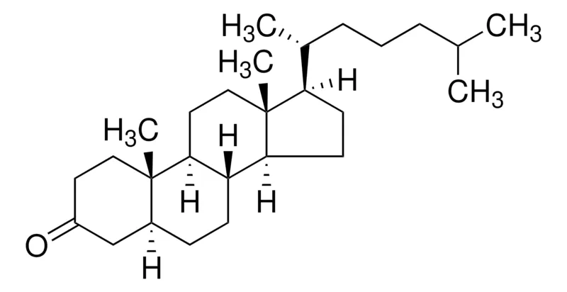Sigma-Aldrich 5α-Cholestan-3-one，结晶