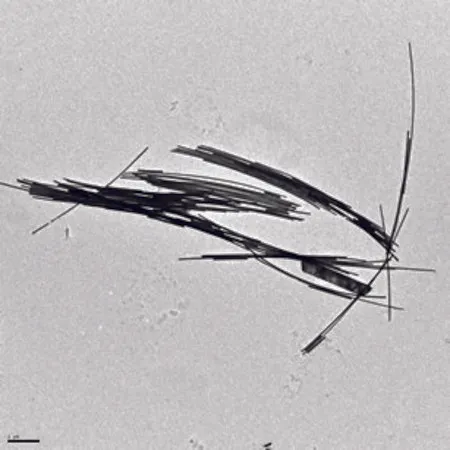 Sigma-Aldrich 金纳米线，直径× L 30 nm × 4,500 nm，分散体（H2O），含有CTAB作为稳定剂