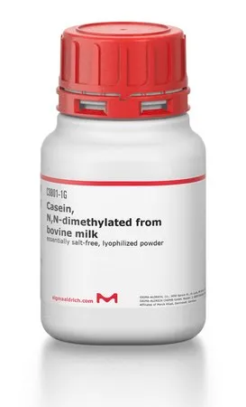 Sigma-Aldrich 酪蛋白,N,N-二甲基化 来源于牛奶,基本无盐的冻干粉