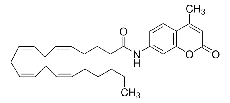 Sigma-Aldrich Arachidonoyl-AMC,脂肪酸酰胺水解酶底物,99%(HPLC),固体