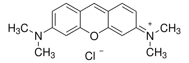 Sigma-Aldrich 派洛宁Y,对于NA电泳