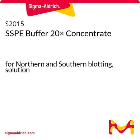 Sigma-Aldrich SSPE 缓冲液 20× 浓缩液,对于北方和南方印迹,溶液