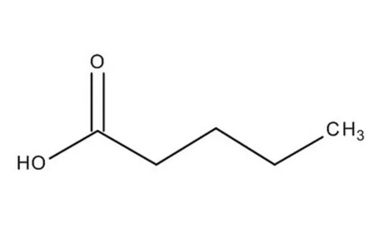 默克 Pentanoic acid,合成