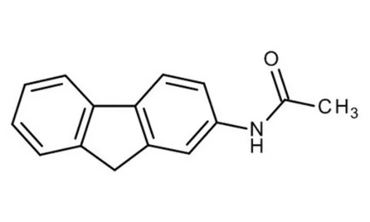 默克 N-Fluoren-2-ylacetamide,合成
