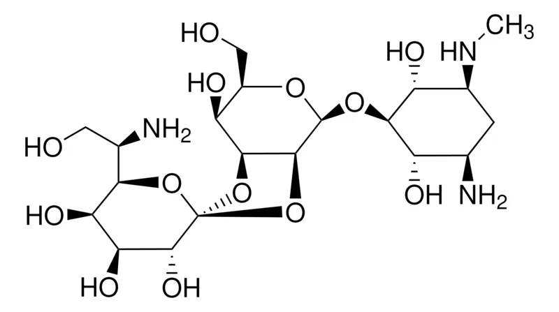 Sigma-Aldrich Hygromycin B, Min. 95% (HPLC ELSD),最低95%(HPLC ELSD),来自吸水链霉菌