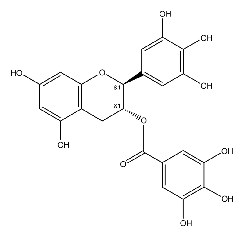 Sigma-Aldrich (−)-没食子儿茶素没食子酸酯，来自绿色茶，≥98%（HPLC）