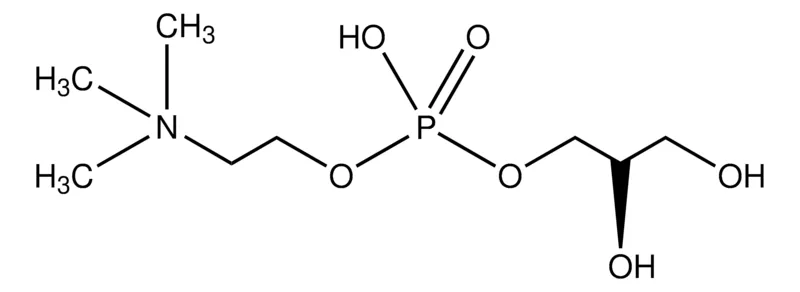Sigma-Aldrich L-α-甘油磷酸胆碱,≥98%,粉末