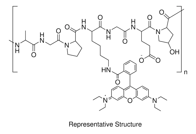 Sigma-Aldrich Gelatin-Rhodamine B，凝胶强度300 g Bloom，1-10 μmol罗丹明B/g明胶