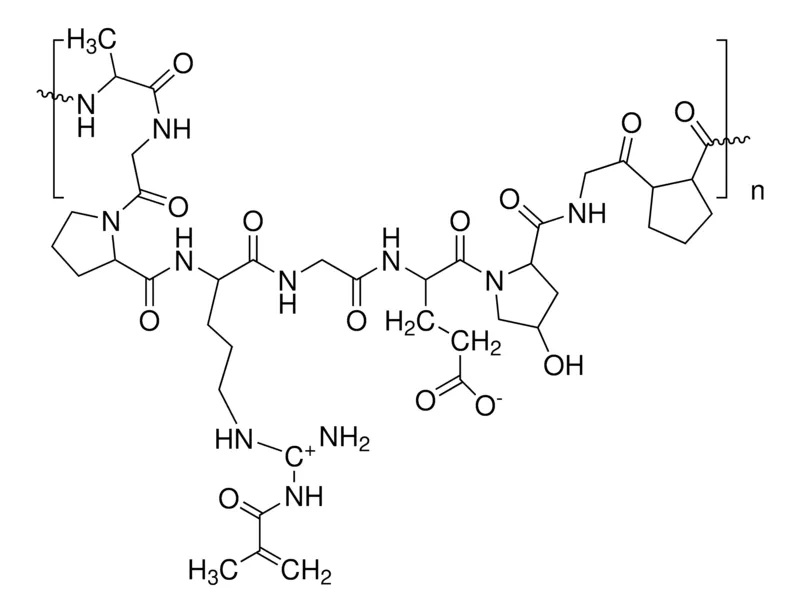Sigma-Aldrich 明胶甲基丙烯酰基,凝胶强度300 g Bloom,取代度40%