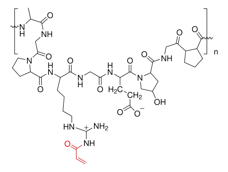Sigma-Aldrich Gelatin acrylate，凝胶强度300 g Bloom，取代度60%