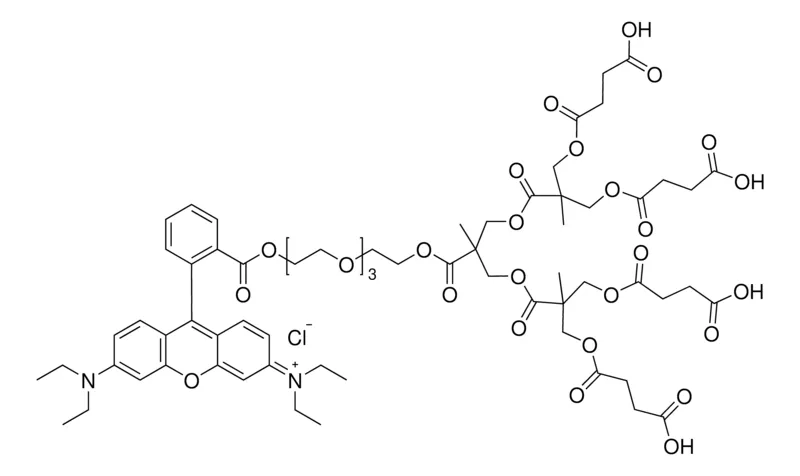Sigma-Aldrich Polyester bis-MPA dendron, 4 carboxyl, 1 Rhodamine (core),第2代